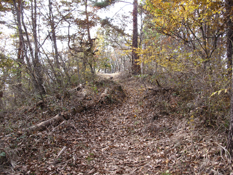 20161117hike (229)